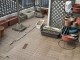 9f200dfea7efdf8d8bd6ca1084436999-1