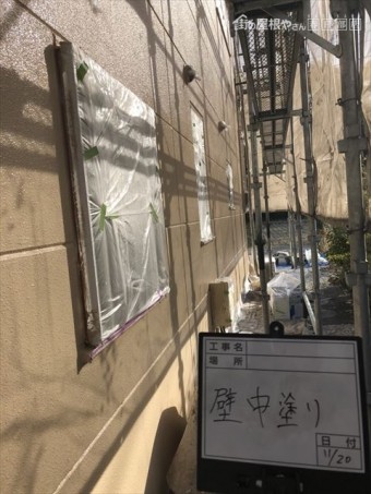 外壁中塗り後全体図