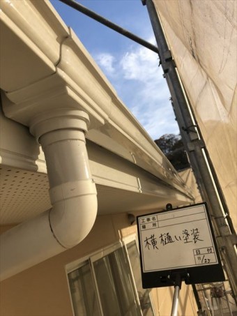 横樋塗装完了