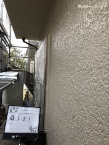 外壁上塗り後