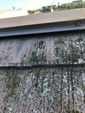 屋根棟板金部分浮き