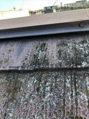 屋根棟板金部分浮き