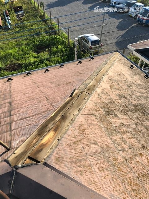屋根棟板金破損