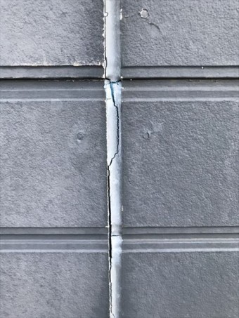Image_a161ece_R-columns2