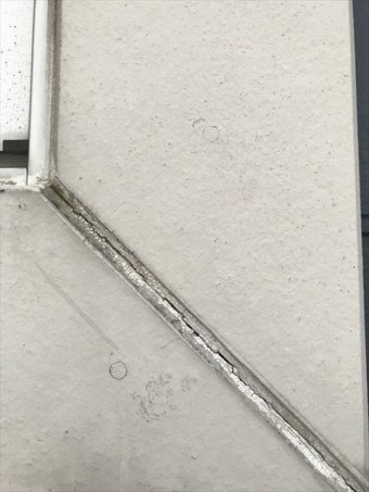 Image_b66fb3c_R-columns2