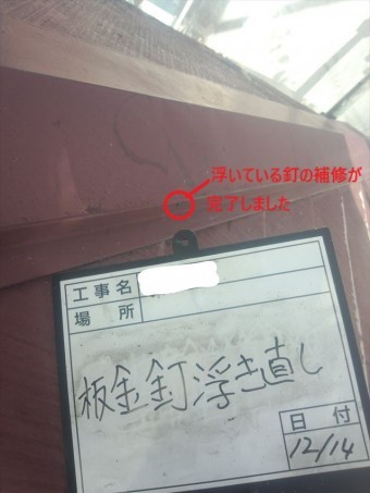 屋根板金部分釘浮き直し完了