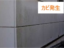 外壁メンテナンスは塗装で決まり♪