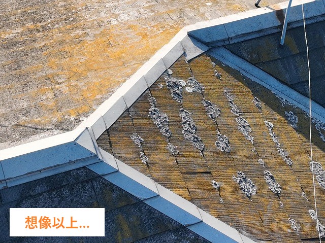 住宅メンテナンス　屋根塗装と外壁塗装で丸ごとメンテ♪