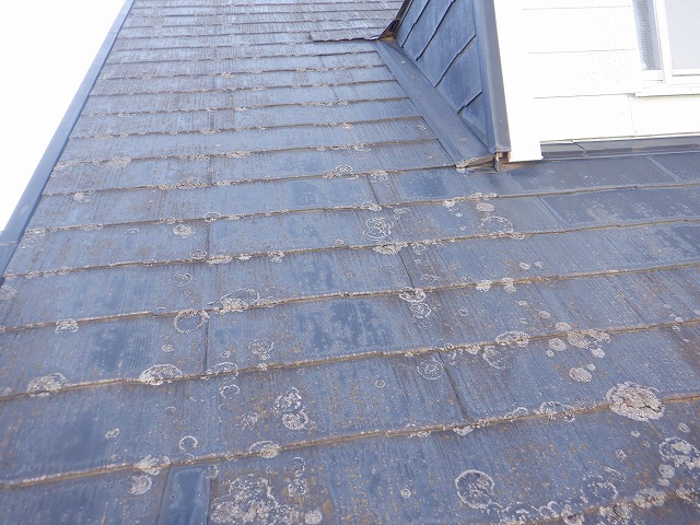 屋根カバー工法・外壁塗装・ベランダ改修工事前