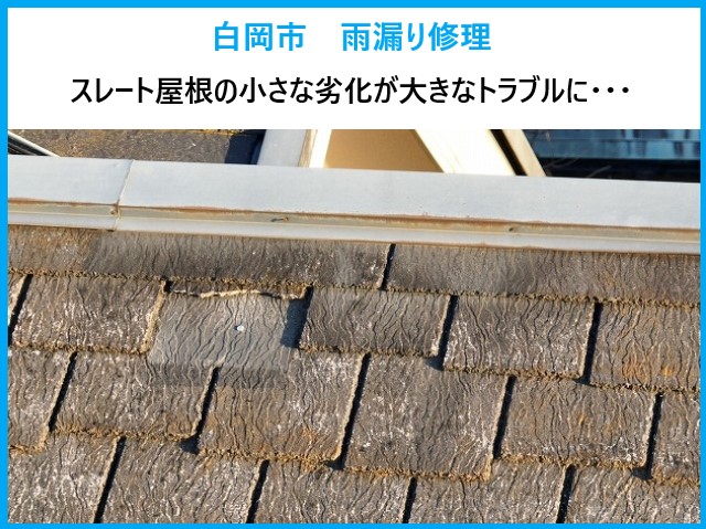 白岡市 雨漏り修理!スレート屋根のヒビや割れなどの小さな破損が大きなトラブルに…早めの補修で安心を