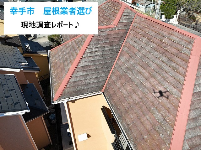 幸手市　屋根業者選びで失敗しないために！築25年住宅の現地調査レポート