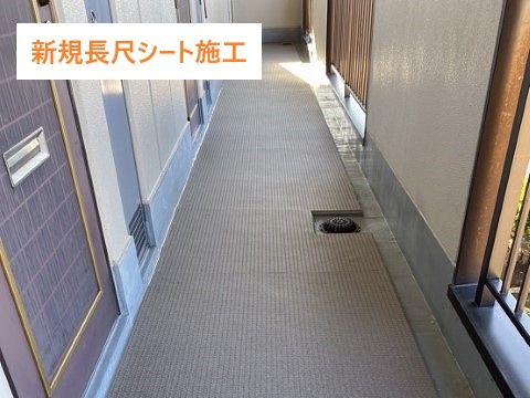 長尺シートでアパートの共用通路の防水工事を実施しました