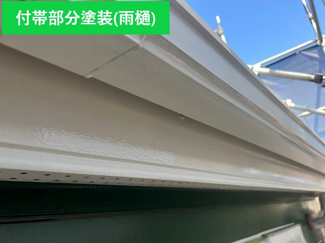 雨樋塗装