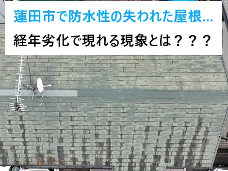 蓮田市で防水性の失われた屋根…経年劣化で現れる現象は？屋根リフォームのご提案と費用！