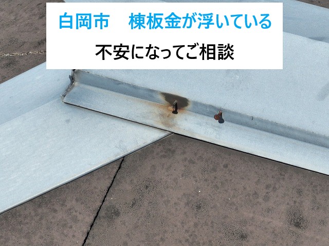 白岡市 築20年の戸建て住宅!棟板金の釘が浮いている?不安になってご相談!