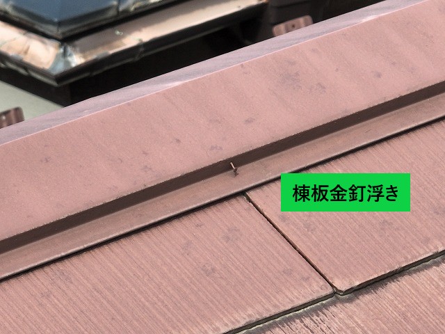棟板金の釘浮き