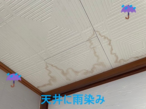 雨染み
