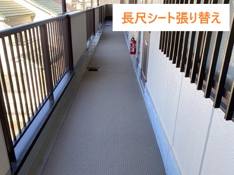 長尺シートでアパートの共用通路の防水工事を実施しました