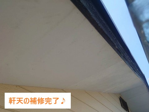 まずはベランダ屋根の波板交換から着手しました。既存の波板を丁寧に取り外し、下地の状況を確認しながら新しい波板を設置していきます。今回使用したのは耐久性の高いポリカーボネート製で、透明度も高く光をしっかり通すため、ベランダが明るい空間に戻りました。職人が一定の間隔でビスを打ち、風に強い仕上がりになるよう細かく調整しています。