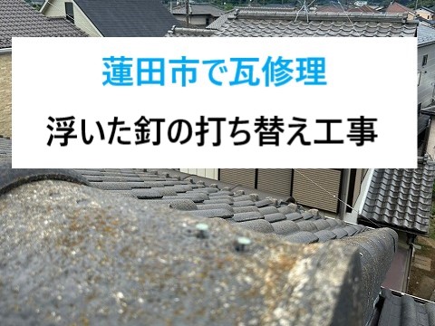 蓮田市で棟瓦修理！棟瓦の釘浮き工事から雨樋も修理！作業様子をご覧ください‼