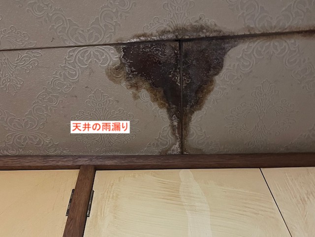天井の雨漏り
