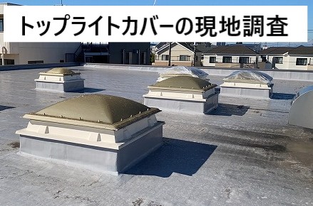 現地調査