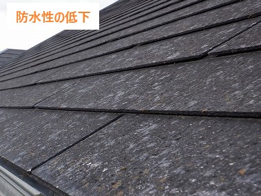 屋根メンテナンス　塗り替えで美観が蘇りました♪