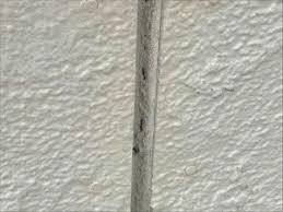 外壁メンテナンスで愛着ある我が家へ♡