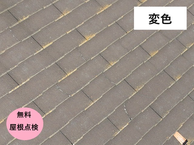 コロニアルNEO変色