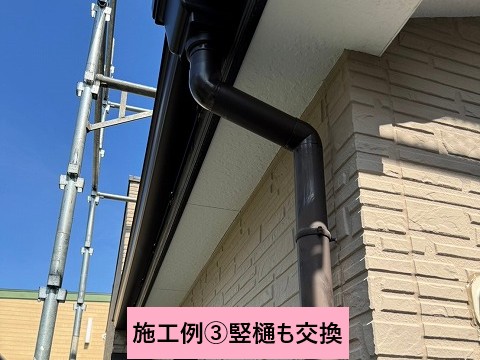 竪樋も交換