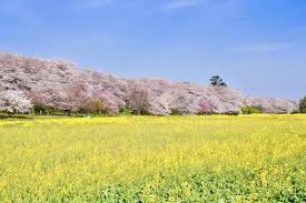 幸手市