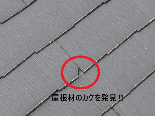 カケ