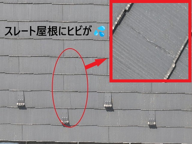 ヒビ