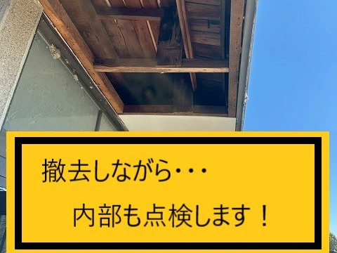点検