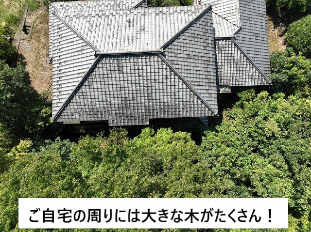 木
