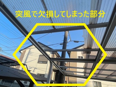 欠損