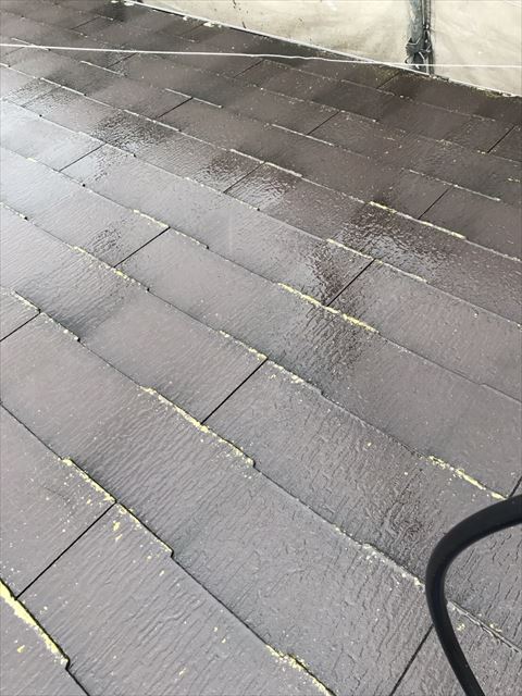 屋根洗浄前