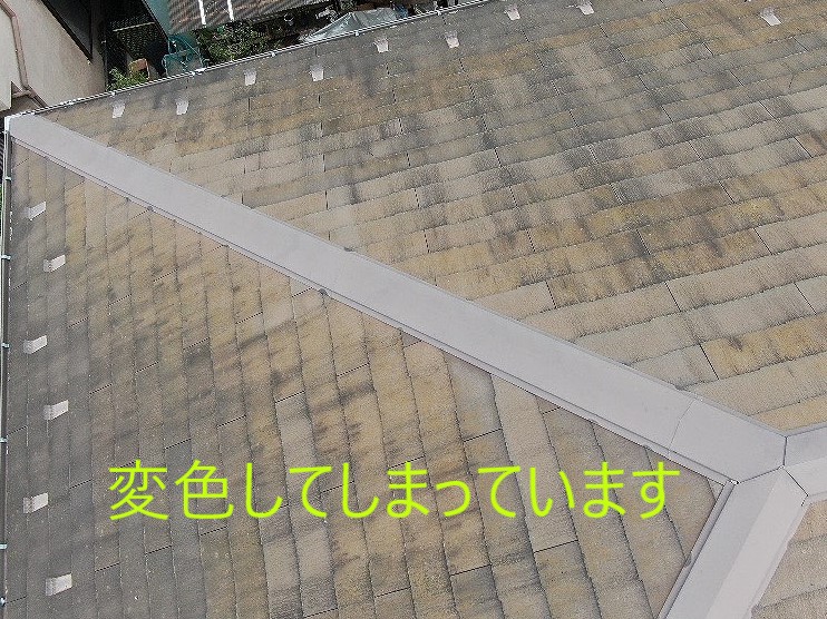 屋根のカビ・藻
