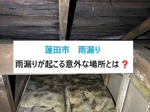 蓮田市　知らなかった⁉雨漏りが起こる意外な場所とは？