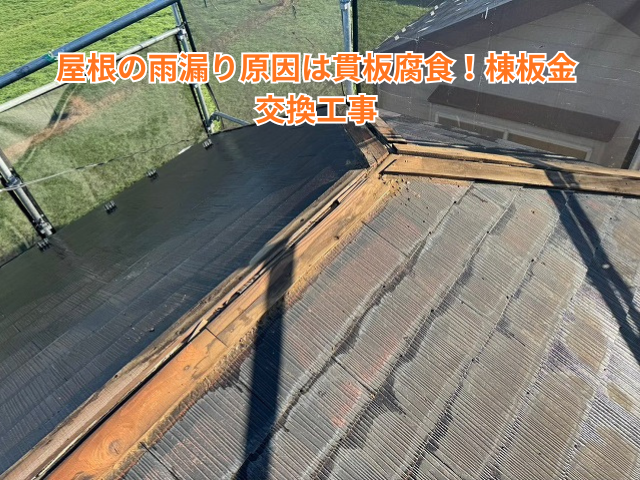 羽生市｜屋根の雨漏り原因は貫板腐食！棟板金交換工事