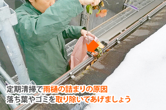 雨樋掃除　詰まりの解決法！落ち葉除けネットが大活躍