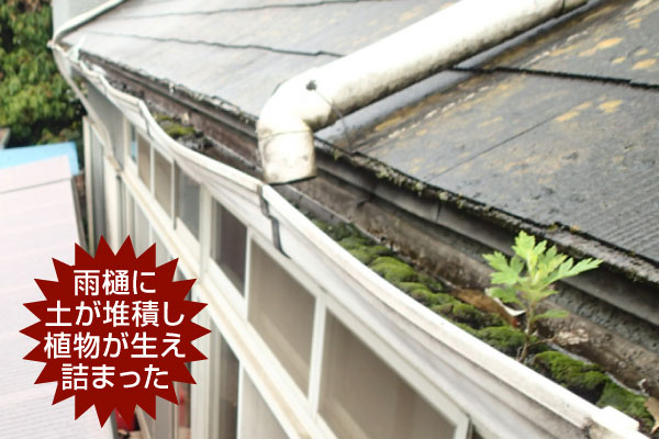 雨樋修理　雨樋を保険で直す方法をお教えします♪