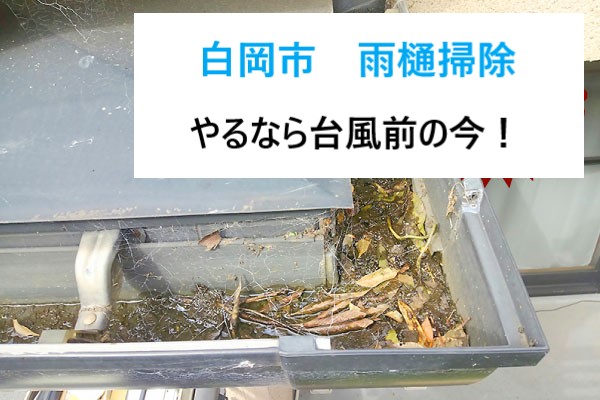 白岡市 雨樋掃除!台風前にキレイにして、快適と安心を手に入れるメンテナンスもご紹介