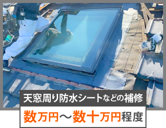 雨漏りの原因は天窓（トップライト）かもしれませんよ～