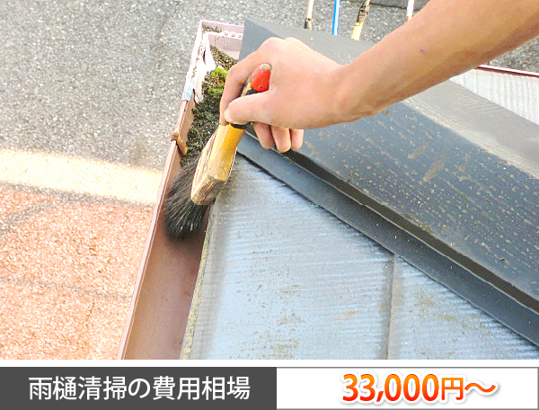 雨樋掃除は台風前に安心対策