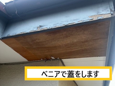 べニア