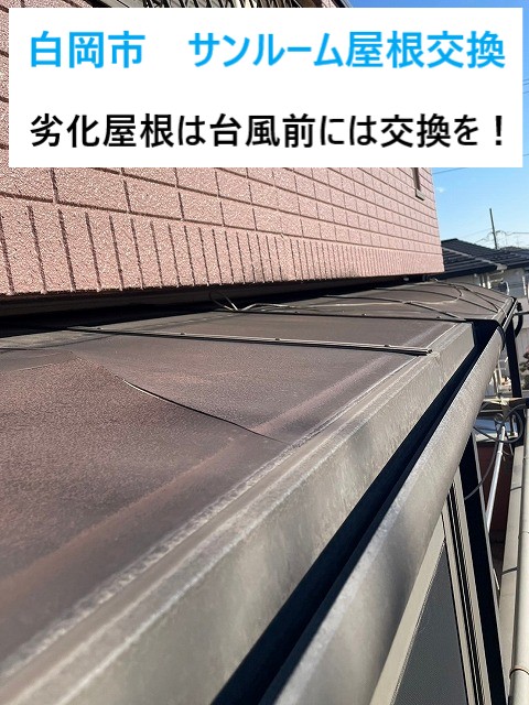 白岡市　サンルーム屋根交換！ポタっと垂れた水が元でご相談！台風前の備えが肝心！安心のリフォーム事例