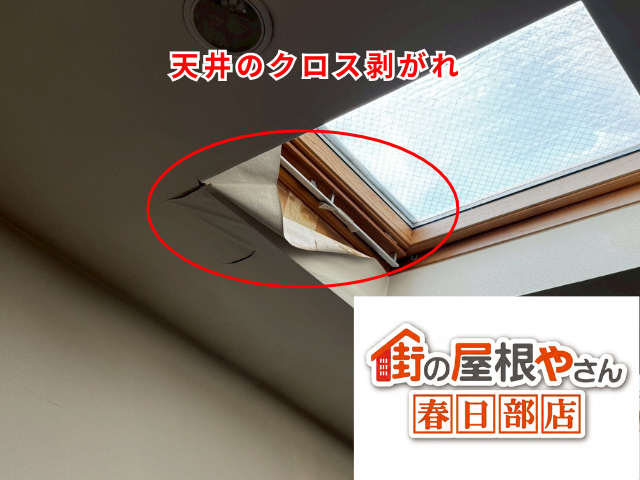 越谷　天窓　撤去　工事　板金