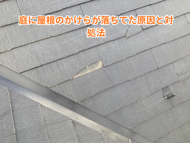 加須市｜庭に屋根のかけらが落ちてた原因と対処法