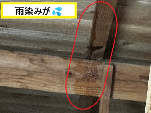 雨染み